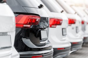 Ενίσχυση της παρουσίας μας στην Ανατολική Χαλκιδική.